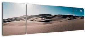 Obraz - Z pouště (170x50 cm)