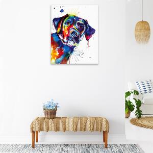 Obraz na plátně - Pestrobarevný labrador - 40x50 cm