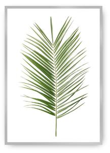 Plakát Palm Leaf Green