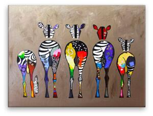 Obraz na plátně - Barevné zebry zezadu - 40x30 cm