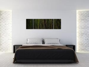 Obraz - Mezi bambusy (170x50 cm)
