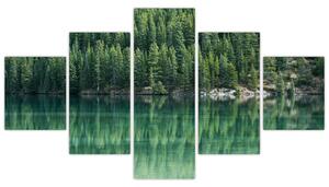 Obraz - Jehličnany u jezera (125x70 cm)