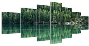 Obraz - Jehličnany u jezera (210x100 cm)