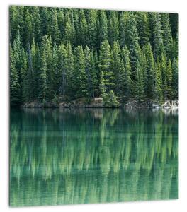 Obraz - Jehličnany u jezera (30x30 cm)