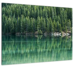 Obraz - Jehličnany u jezera (70x50 cm)