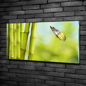 Foto obraz sklo tvrzené Bambus a motýl osh-69817087