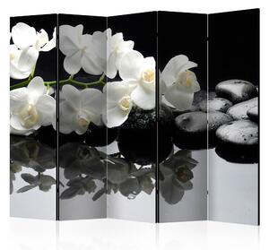 Paraván - Spa, Stones and Orchid II [Room Dividers]