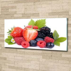 Moderní foto obraz na stěnu Lesní ovoce osh-70482895