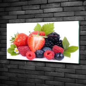 Moderní foto obraz na stěnu Lesní ovoce osh-70482895