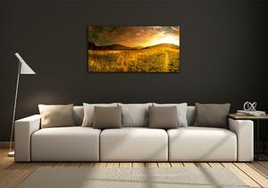 Fotoobraz na skle Panorama Tater osh-70560104