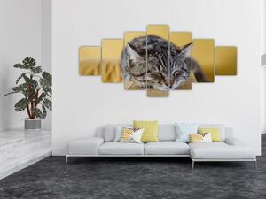 Obraz kočky na pohovce (210x100 cm)