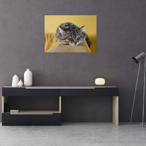 Skleněný obraz kočky na pohovce (70x50 cm)