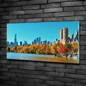 Foto obraz skleněný horizontální New York podzim osh-70676089
