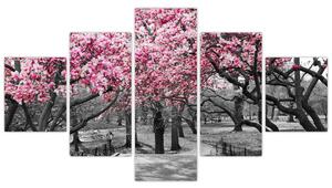 Obraz stromů Magnolíie (125x70 cm)
