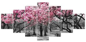 Obraz stromů Magnolíie (210x100 cm)
