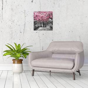 Obraz stromů Magnolíie (30x30 cm)