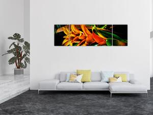 Obraz oranžové kytice (170x50 cm)