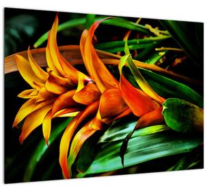 Obraz oranžové kytice (70x50 cm)