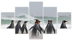 Obraz tučňáků u oceánu (125x70 cm)
