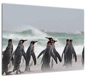 Skleněný obraz tučňáků u oceánu (70x50 cm)