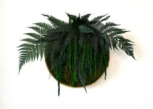 Mechový kruh - Lola Velikost rámu: 40cm