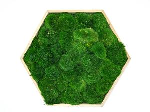 Hexagon Jery Velikost rámu: 21cm v nejširším bodě