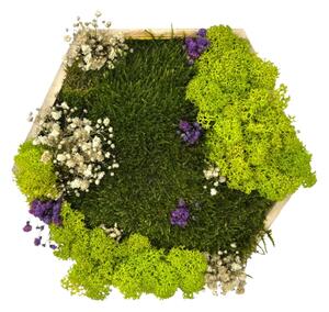 Mechový hexagon Ela Velikost rámu: 21cm v nejširším bodě