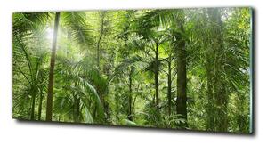 Foto obraz sklo tvrzené Tropický les osh-72098525