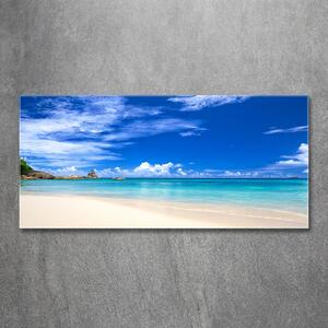 Fotoobraz na skle Tropická pláž osh-72192051