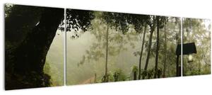 Obraz ranní mlhy (170x50 cm)