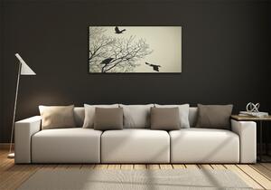 Moderní skleněný obraz z fotografie Vrány na stromě osh-72229851