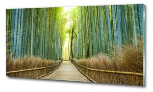 Fotoobraz na skle Bambusový les osh-72519653