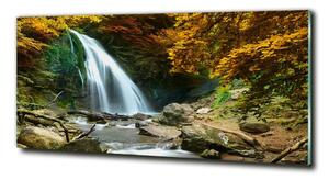 Fotoobraz na skle Vodopád v lese osh-72571423