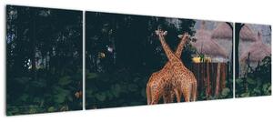 Obraz dvou žiraf (170x50 cm)