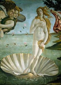 Botticelli, Sandro (Alessandro di Mariano di Vanni Filipepi) - Obrazová reprodukce Sandro Botticelli - Zrození Venuše, (30 x 40 cm)