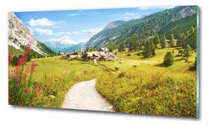 Foto obraz skleněný horizontální Pastvina v Alpách osh-73408586