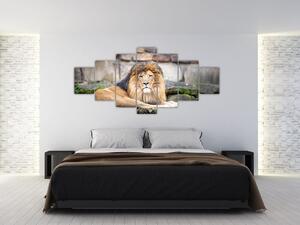 Obraz lva (210x100 cm)