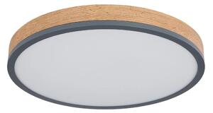 Globo 416080WD2R-CCT-LED Stm stropní svítidlo DORO 24W/230V 2700-6500K pr. 45 cm