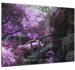 Obraz - Mystická zahrada (70x50 cm)