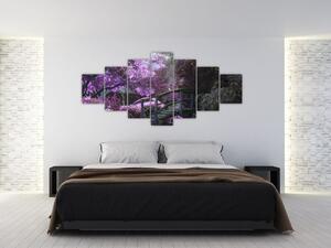 Obraz fialové zahrady (210x100 cm)