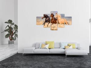 Obraz - Divocí koně (125x70 cm)