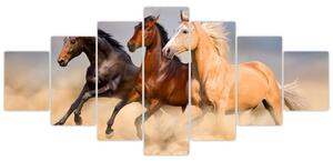 Obraz - Divocí koně (210x100 cm)
