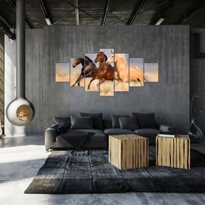 Obraz - Divocí koně (210x100 cm)