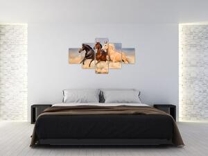 Obraz - Divocí koně (125x70 cm)