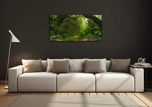 Fotoobraz skleněný na stěnu do obýváku Prales v Nepálu osh-74532471