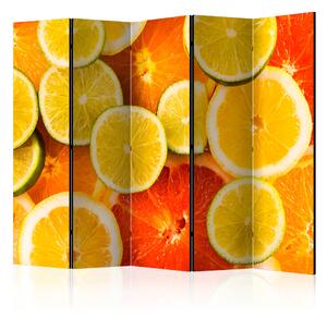 Artgeist Paraván - Citrus fruits II [Room Dividers] Size: 225x172