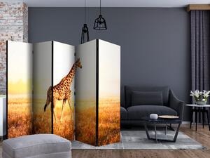 Paraván - giraffe - walk [Room Dividers]