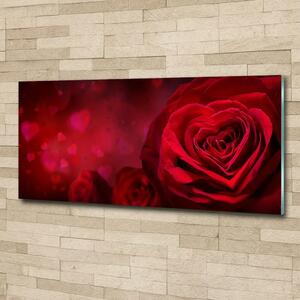 Foto obraz skleněný horizontální Červená růže srdce osh-75608886