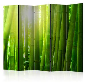 Paraván - Sun and bamboo [Room Dividers]