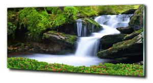 Fotoobraz na skle Vodopád v lese osh-76241598